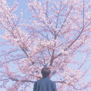 人妻熟人中文字幕一区二区
